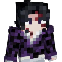 nohaxjustcanfly2 Minecraft avatar bust