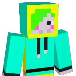 noie123 Minecraft avatar bust