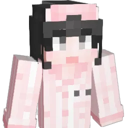 noknown04 Minecraft avatar bust