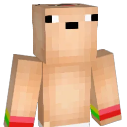 nolife1123 Minecraft avatar bust