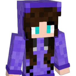 nomean2 Minecraft avatar bust