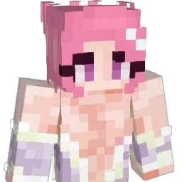 nomedigas Minecraft avatar bust