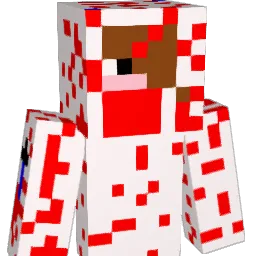 nomercy2005 Minecraft avatar bust
