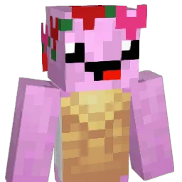 nomorefishplz Minecraft avatar bust