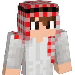 non1123 Minecraft avatar bust