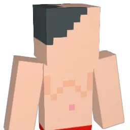 nongpe007 Minecraft avatar bust