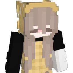nonke6 Minecraft avatar bust