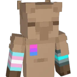 noob_fart_64 Minecraft avatar bust