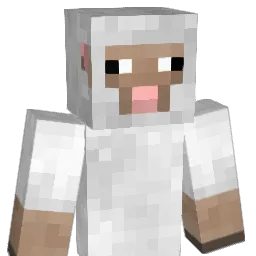 noob_pwner Minecraft avatar bust