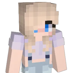 noodle_sok Minecraft avatar bust