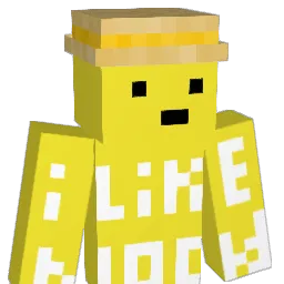 noodlesEXE Minecraft avatar bust