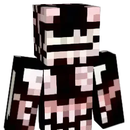 noopa_ Minecraft avatar bust