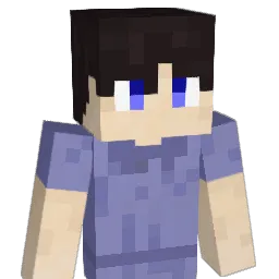 nop25 Minecraft avatar bust
