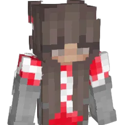 nora_44 Minecraft avatar bust
