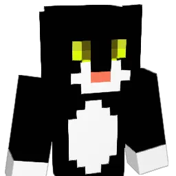 norakuro_ Minecraft avatar bust