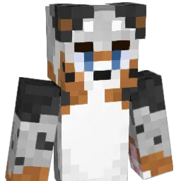 norfolker Minecraft avatar bust