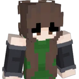 normalN585 Minecraft avatar bust