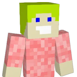 nosnid3 Minecraft avatar bust