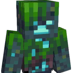 notRedraider