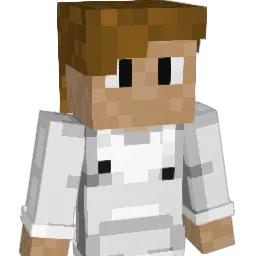 not_ConArtist Minecraft avatar bust