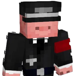 not_Swinka