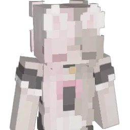 not_aumii Minecraft avatar bust