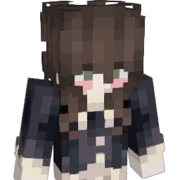 not_to_disappear Minecraft avatar bust
