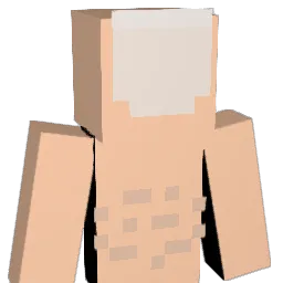 notanutsa Minecraft avatar bust