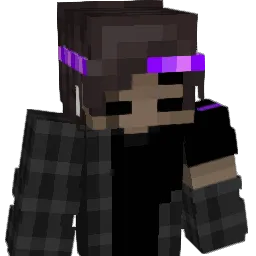 notasp3ct Minecraft avatar bust