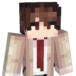 notfunny1 Minecraft avatar bust