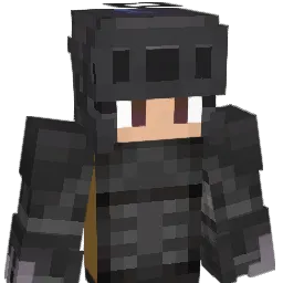 notlimmm Minecraft avatar bust