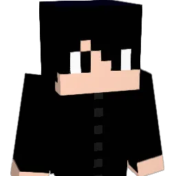 notmymain47 Minecraft avatar bust