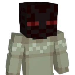 notnate__ Minecraft avatar bust