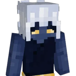 notpenguinbott's Minecraft skin