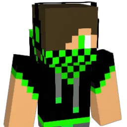 notpokii Minecraft avatar bust