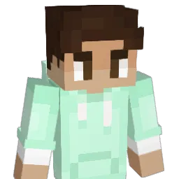 notsebi Minecraft avatar bust