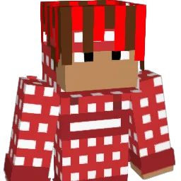 nougat11 Minecraft avatar bust