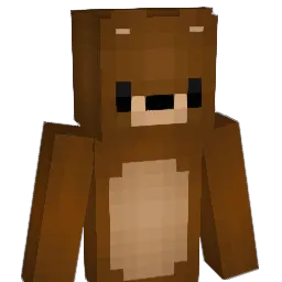 nov4ss_ Minecraft avatar bust