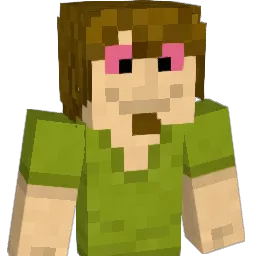 nova1121420 Minecraft avatar bust