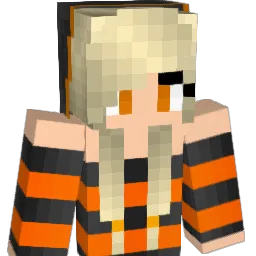 nova707 Minecraft avatar bust