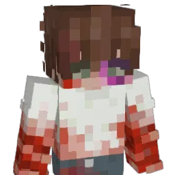 nowhereboy0 Minecraft avatar bust