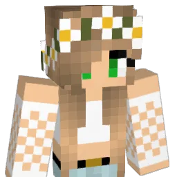 noyrdt Minecraft avatar bust