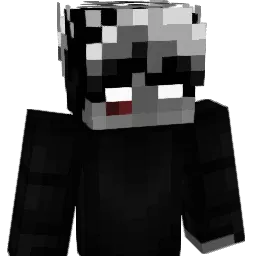 np204 Minecraft avatar bust
