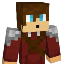 np704 Minecraft avatar bust