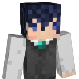 npatchi Minecraft avatar bust