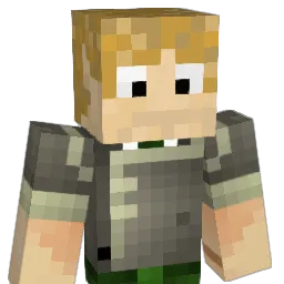 nrobison4 Minecraft avatar bust