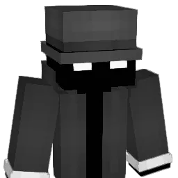 nrslight008 Minecraft avatar bust