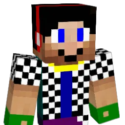 ns270802 Minecraft avatar bust