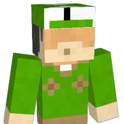 nslr33 Minecraft avatar bust