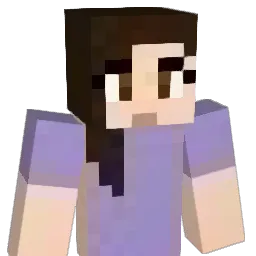 nsm21 Minecraft avatar bust